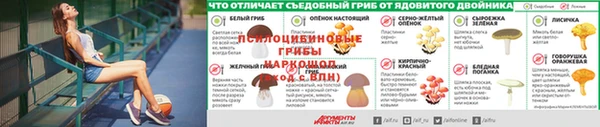 прущие грибы Абдулино