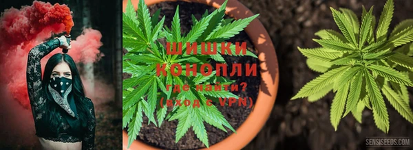 бошки Переславль-Залесский