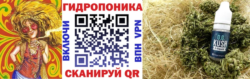 Марихуана план  Новомичуринск 